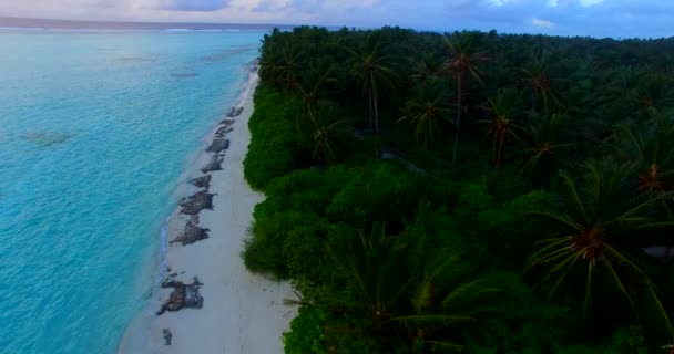 Vista Costera Vacaciones Exóticas Maldivas Asia Meridional — Vídeos de Stock