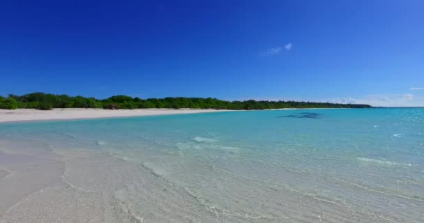 ビーチで波を動かす ジャマイカ カリブ海の夏の楽園 — ストック動画
