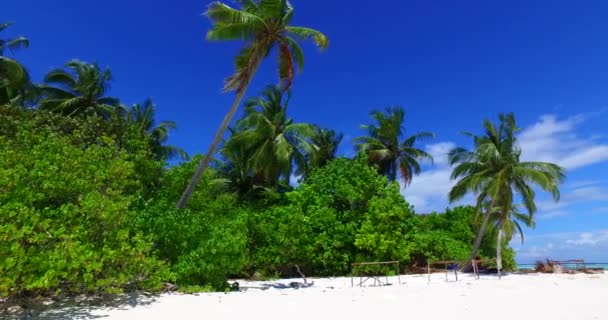 Exotic Nature Bora Bora French Polynesia — стокове відео