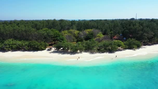Green Island Turquoise Sea Summer Relax Bora Bora French Polynesia — Stock Video