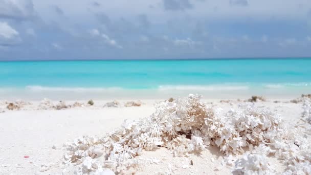 Karang Putih Pantai Pemandangan Musim Panas Bali Indonesia — Stok Video