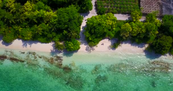 Paisajes Costeros Diurnos Naturaleza Exótica Bora Bora Polinesia Francesa — Vídeo de stock