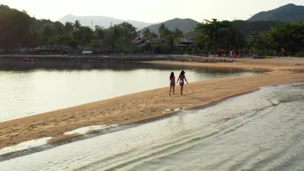 Luchtfoto Van Twee Jonge Vriendinnen Bikini Die Bij Zonsondergang Zeekust — Stockvideo