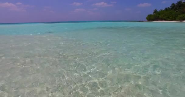 岛上海岸与水晶绿松石海 巴厘岛的海景景观 — 图库视频影像