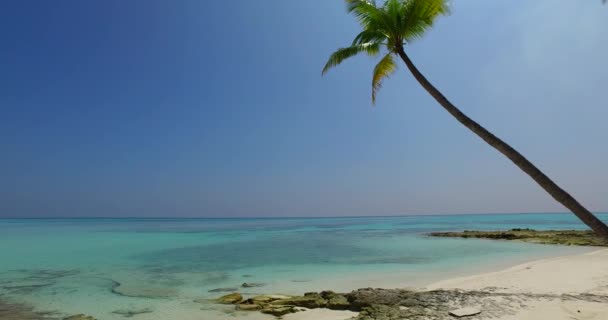 Drohnenaufnahme Der Insel Aus Der Luft Tropische Landschaft Barbados Karibik — Stockvideo