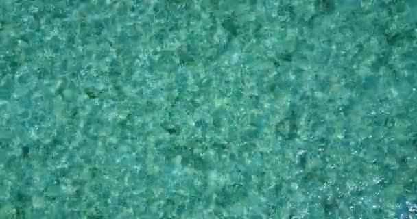 Patrzę Falujące Morze Bahamy Idylliczna Scena Karaiby — Wideo stockowe