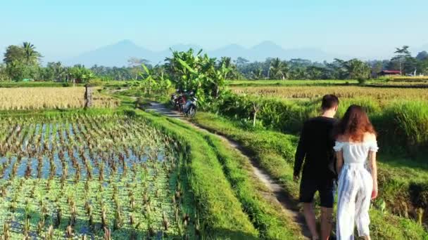 Video Couple Walking Rice Fields — Stock Video