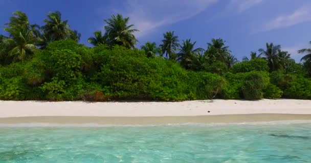 Mořské Přírodní Pozadí Exotická Příroda Bora Bora Francouzská Polynésie — Stock video