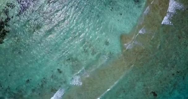 Yavaşça Hareket Eden Dalgaların Üst Görüntüsü Jamaika Karayipler Tropik Doğa — Stok video