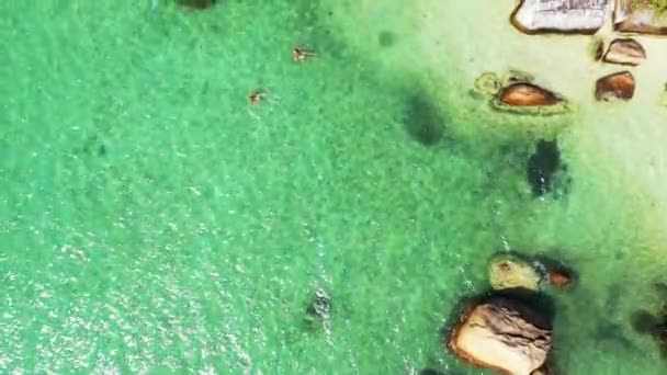 Natürlicher Hintergrund Von Plätscherndem Meerwasser Sonnige Natur Von Barbados Karibik — Stockvideo
