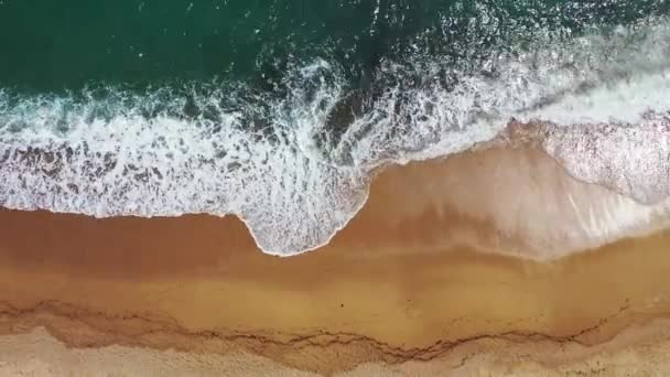 Vagues mousseuses sur la plage de sable fin. Vacances d'été Australie, Océanie.