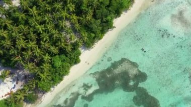 Sabah kıyı şeridi. Bahamalar, Karayipler 'in tropikal doğası.