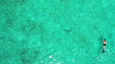 Barbados 'taki bir mercan resifinin üzerinde tropikal bir denizde şnorkelle yüzen adam.