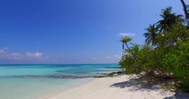 Sabahleyin deniz kıyısında. Barbados, Karayipler 'in tropik cenneti. 