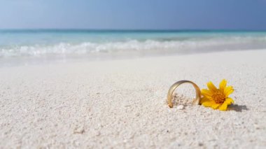 Sahilde sarı çiçekli altın yüzük. Barbados, Karayiplerin güneşli doğası. 