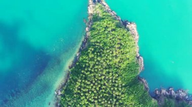 Gün ortasında parlak turkuaz deniz kenarı. Bora Bora 'da yaz tatili, Fransız Polinezyası.