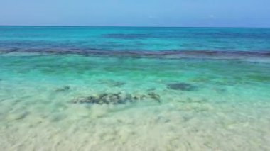 Kıyı şeridinde sığ su. Barbados, Karayipler 'e egzotik yolculuk. 