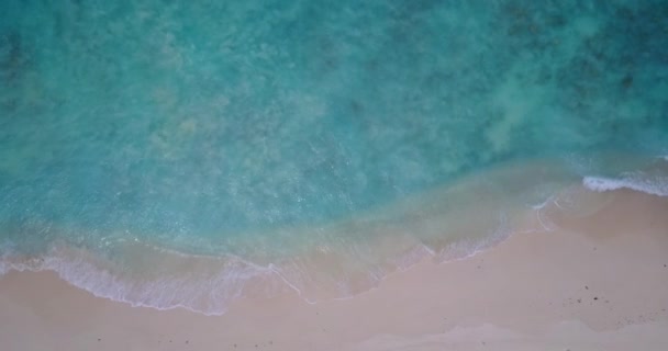 午前中は穏やかな海岸線 ドミニカ共和国 カリブ海のエキゾチックな自然 — ストック動画