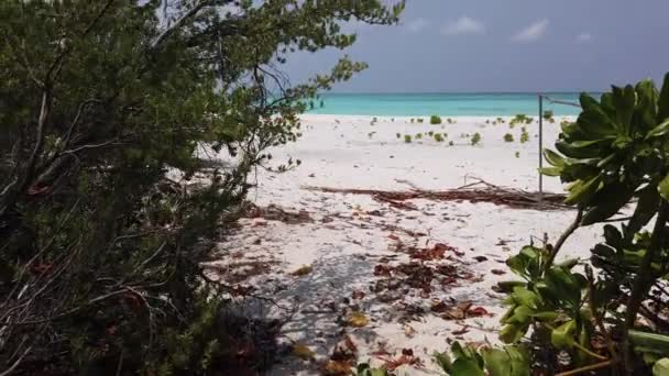 Sunny Island Show Naturaleza República Dominicana Caribe — Vídeo de stock