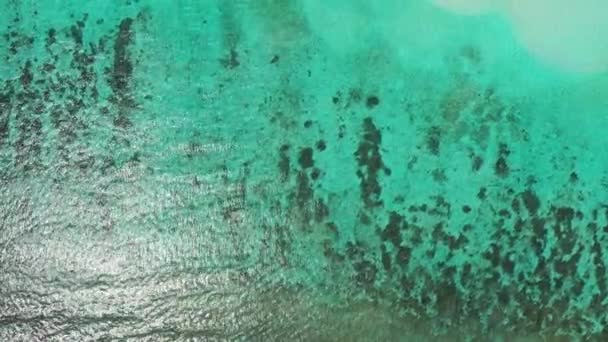 Vue Drone Des Vagues Turquoise Étonnantes Courant Plage Sable Blanc — Video