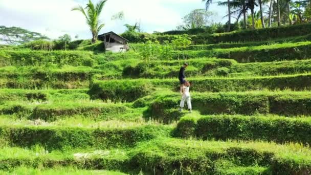 Pretty Young Girl Her Boyfriend Walking Green Field Tropical Island — Stock Video