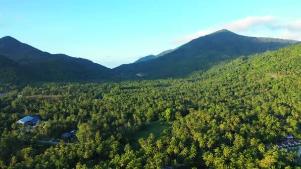 Berg Täckta Med Grönskande Träd Exotisk Semester Bali Indonesien — Stockvideo