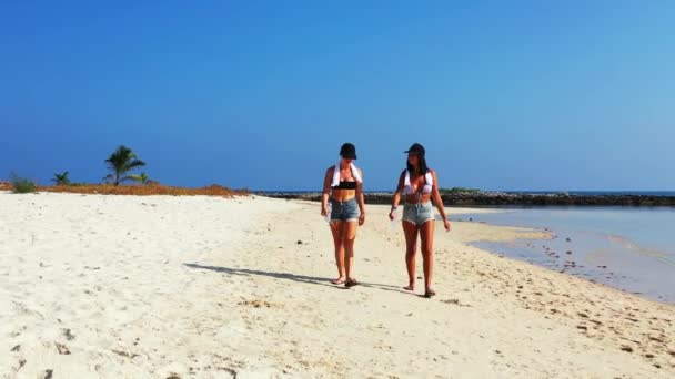 Imágenes Alto Ángulo Mujeres Caminando Playa — Vídeos de Stock