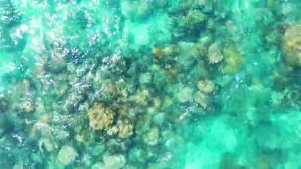Naturalne Tło Falującej Wody Morskiej Egzotyczna Podróż Barbados Karaiby — Wideo stockowe