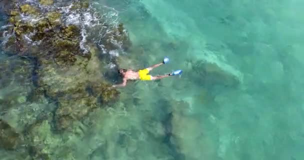 Підвіска Морі — стокове відео