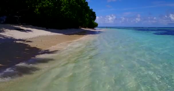 楽園の景色 ボルボラへの旅 フランス領ポリネシア — ストック動画