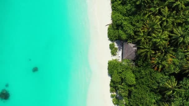 나무와 청록색 흐르는 있습니다 카리브해의 도미니카 공화국으로 — 비디오