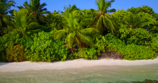 Dagtid Scen Soligt Väder Exotisk Karaktär Dominikanska Republiken Karibien — Stockvideo