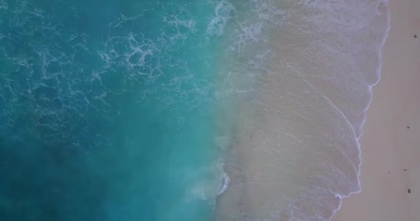 Surface Mer Ondulée Paradis Tropical Bora Bora Polynésie Française — Video