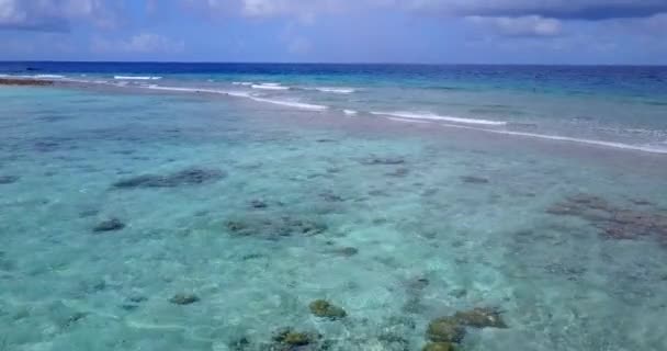 穏やかな透明な海の水 インドネシア バリのエキゾチックな自然シーン — ストック動画