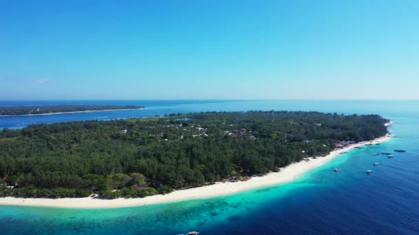 Żywe Środowisko Morskie Relaks Morzu Bali — Wideo stockowe