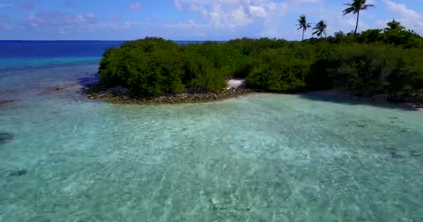Wellenförmiges Flachwasser Rund Die Insel Urlaub Australien Ozeanien Sommer — Stockvideo