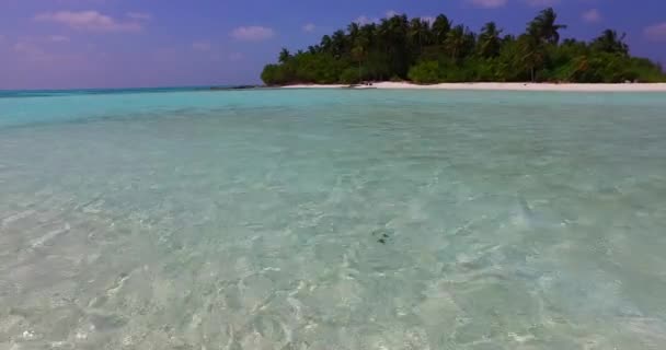 Close Van Kristalheldere Ondiepe Zee Tropisch Paradijs Van Barbados Caribisch — Stockvideo