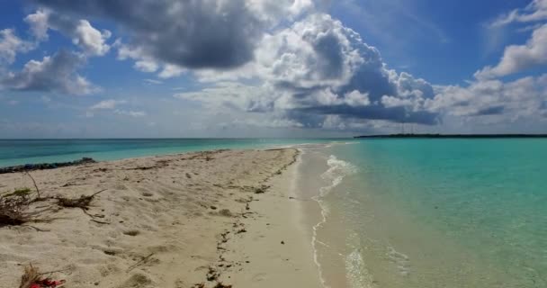 Természetes Tengeri Háttér Bahama Szigetek Karib Térség — Stock videók