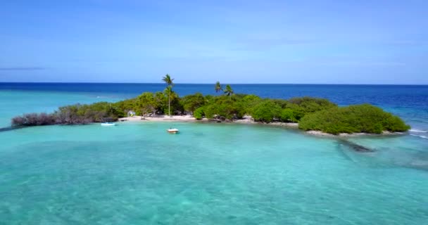 Dzienne Środowisko Morskie Tropikalny Charakter Bali — Wideo stockowe