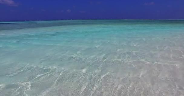 透明な浅い水を見て ボラへの旅行 フランス領ポリネシア — ストック動画