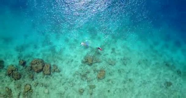 Drone Widok Snorkeling Ludzi Tropikalna Scena Przyrodnicza Jamajki Karaiby — Wideo stockowe