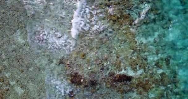 Nahsicht Auf Flaches Wasser Mit Felsen Sommerurlaub Auf Den Malediven — Stockvideo