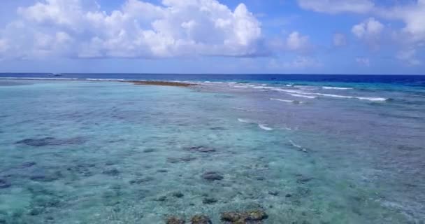 Small Rocks Transparent Shallow Water Travel Bora Bora French Polynesia — Stock Video