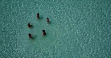 Plaj bikinili kadınlar kusursuz beyaz kum ve turkuaz denizde dinleniyorlar. Bora Bora 'da tropik tatil.