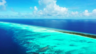 Turkuaz suyla kaplı yeşil ada. Barbados, Karayiplerin güneşli doğası. 