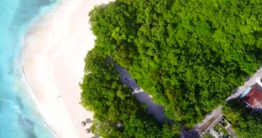 Adadaki yeşil yemyeşil ağaçların en üst görüntüsü. Bali, Endonezya 'ya egzotik yaz gezisi. 