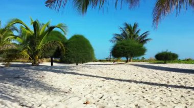 Adadaki yemyeşil ağaçlar. Tayland 'a Seyahat.