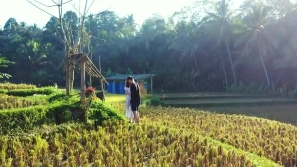 Video Couple Walking Rice Fields — Stock Video