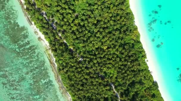 Saftiges Grün Auf Der Sommerinsel Tropische Natur Thailands Asiens — Stockvideo