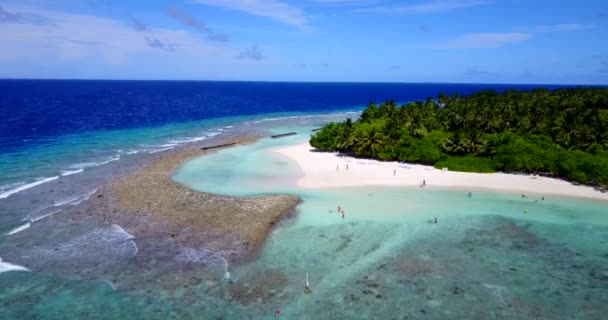 从无人侦察机看到海滨 多米尼加共和国 加勒比的阳光自然 — 图库视频影像